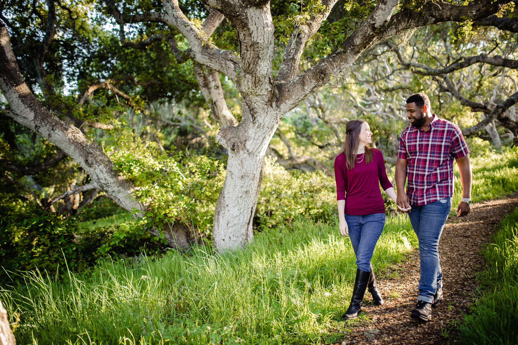 Los Osos Oaks State Reserve Ca