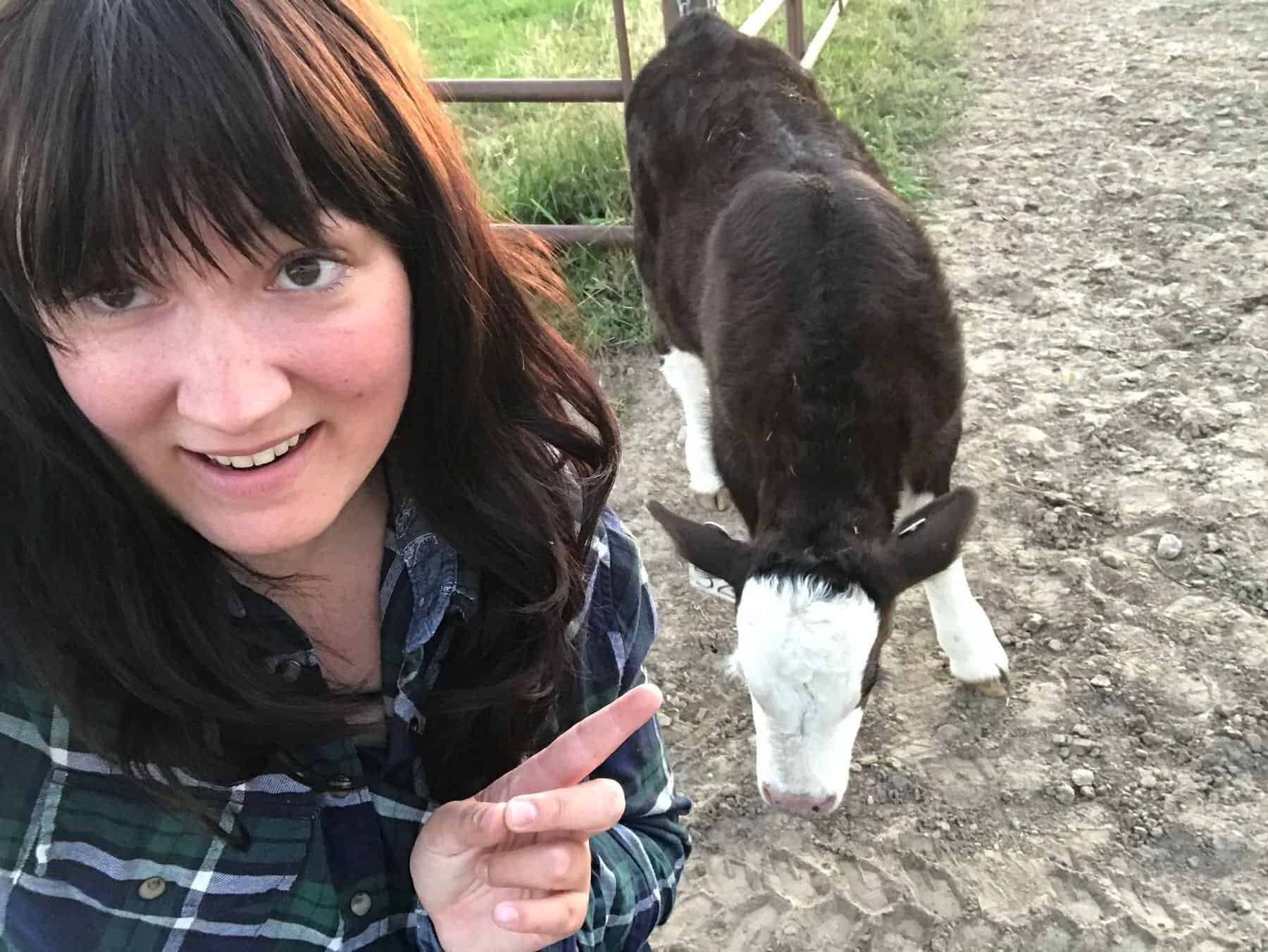 The cow in question that I cuddle in Nebraska 