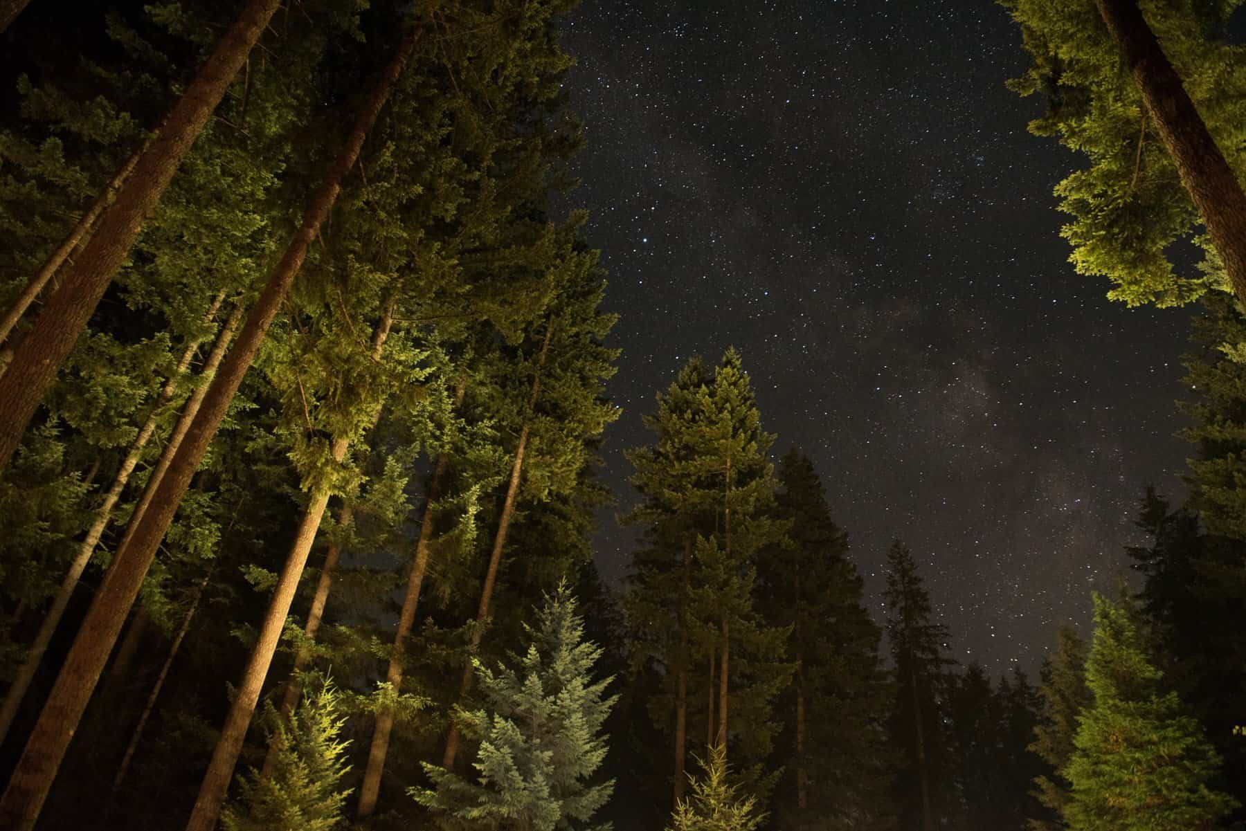 Hammock-under-the-stars camping trip in Oregon 