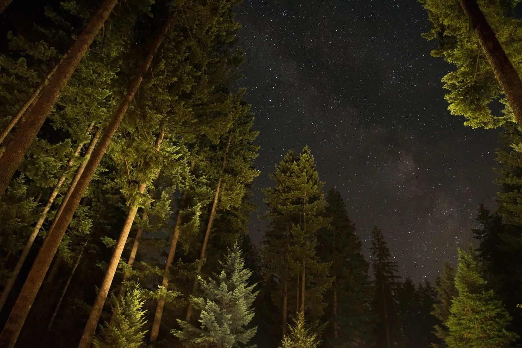 Stargazing and camping
