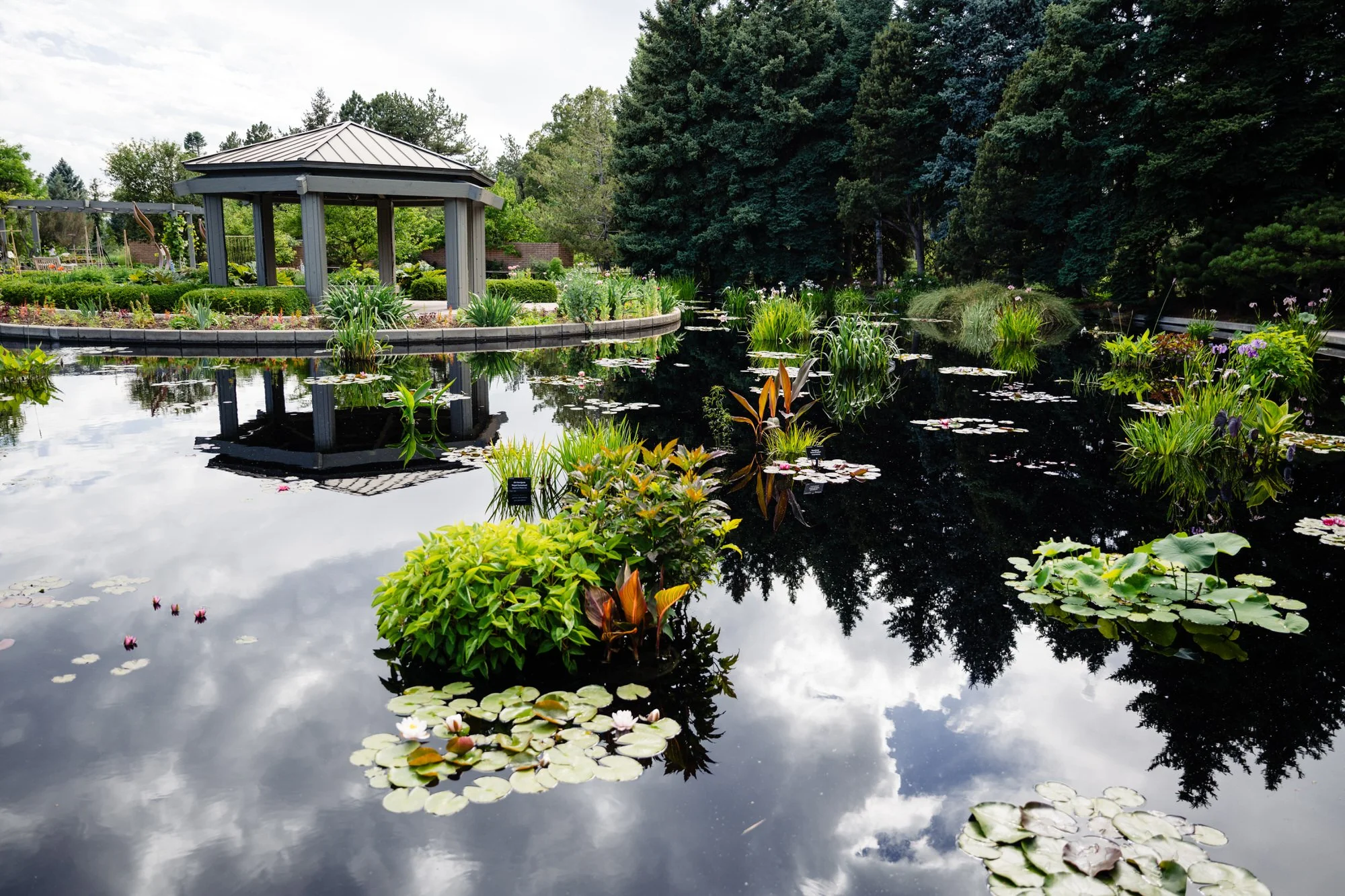 Water Garden Gazebo ceremony location at Denver Botanic Gardens