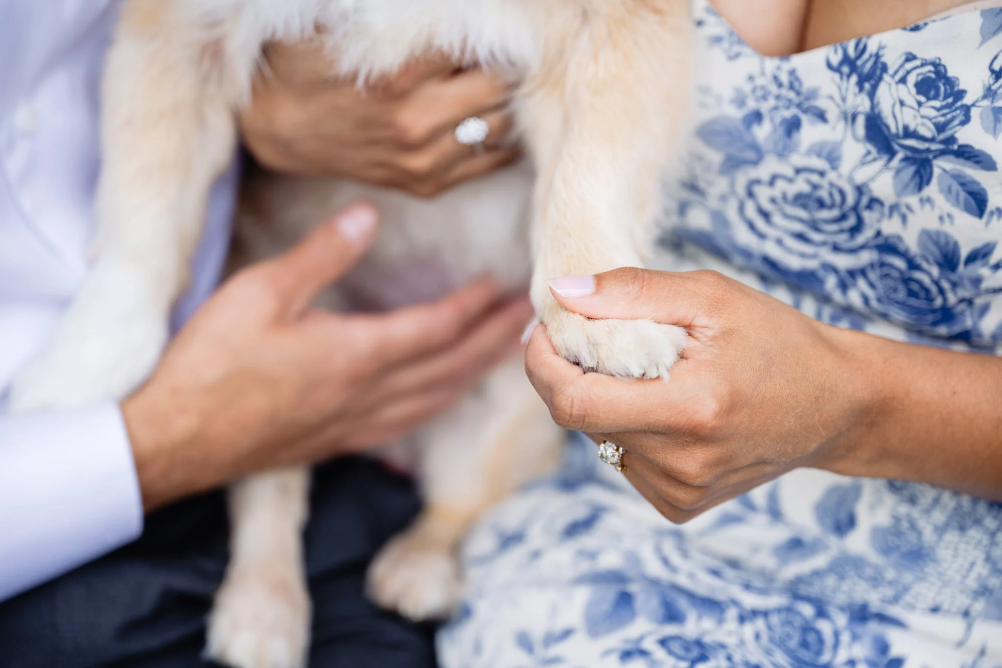 Best Dog-Friendly Engagement Session Locations in Colorado