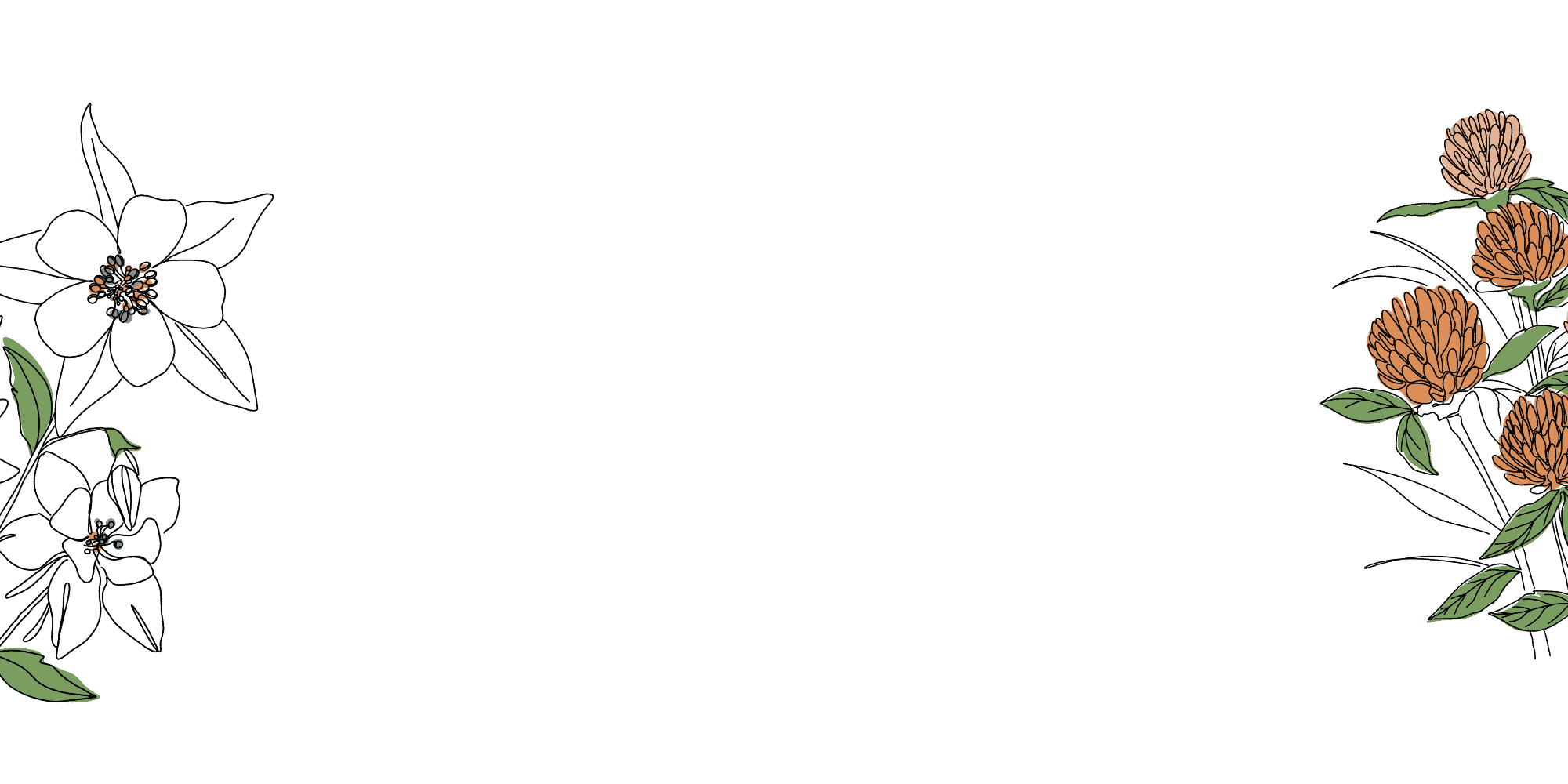 HOME Intro Banner - large copy_1.png