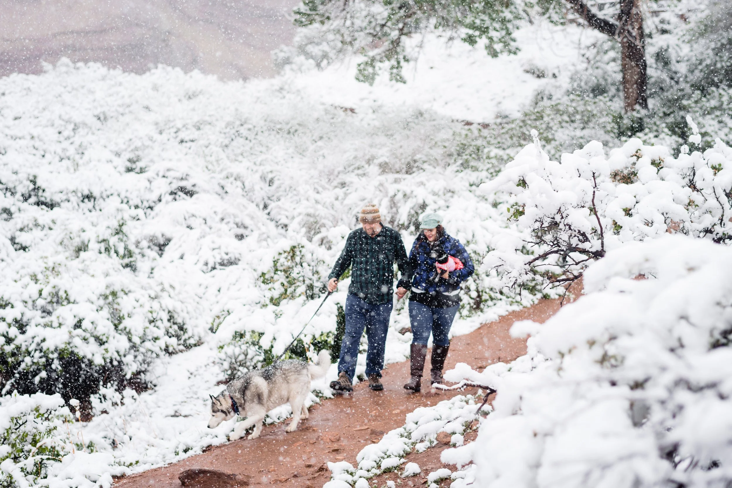 Couple walking their dog in Red Rocks Park