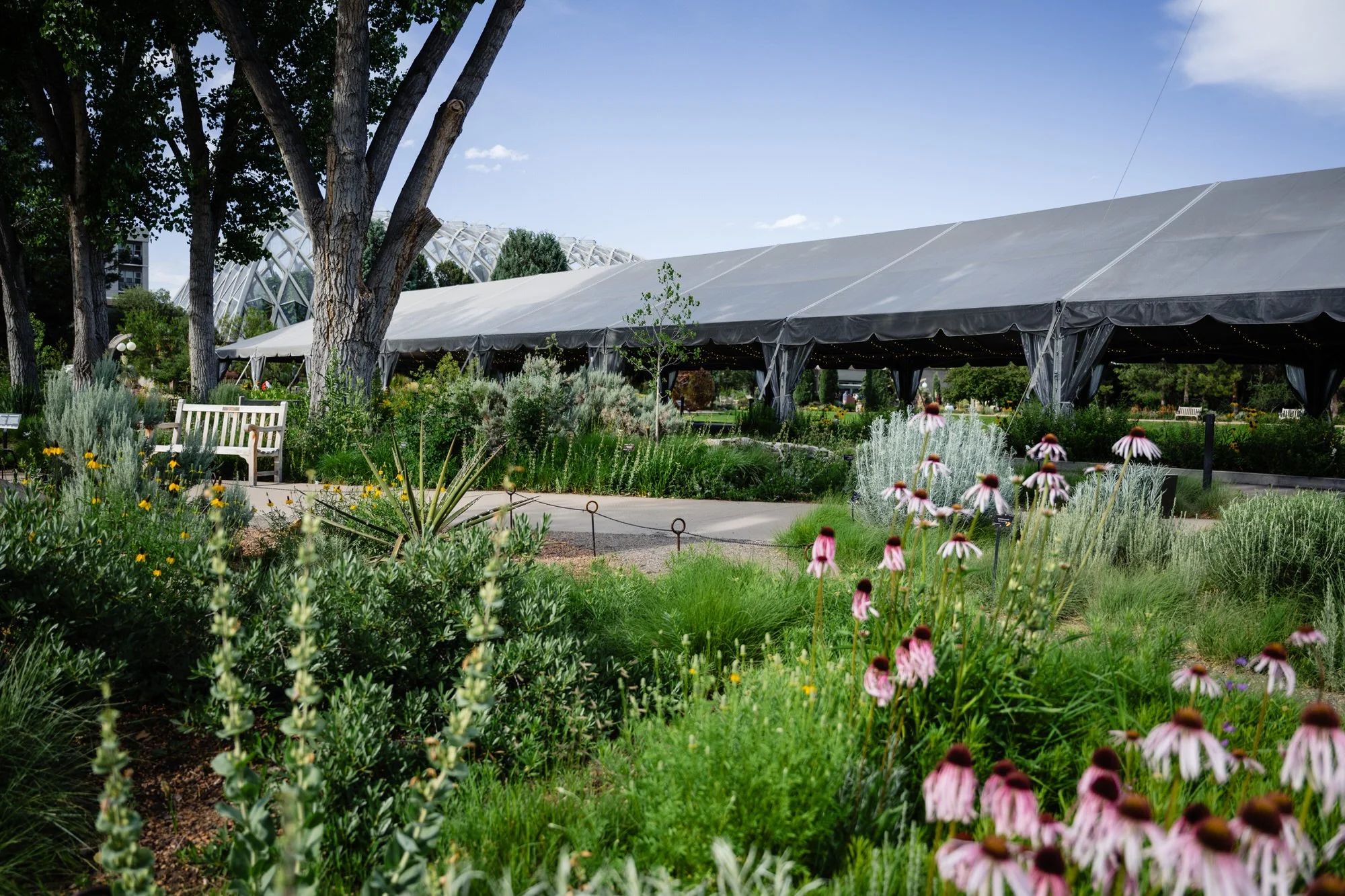 UMB Bank Amphitheater tent surrounded by gardens at Denver Botanic Gardens