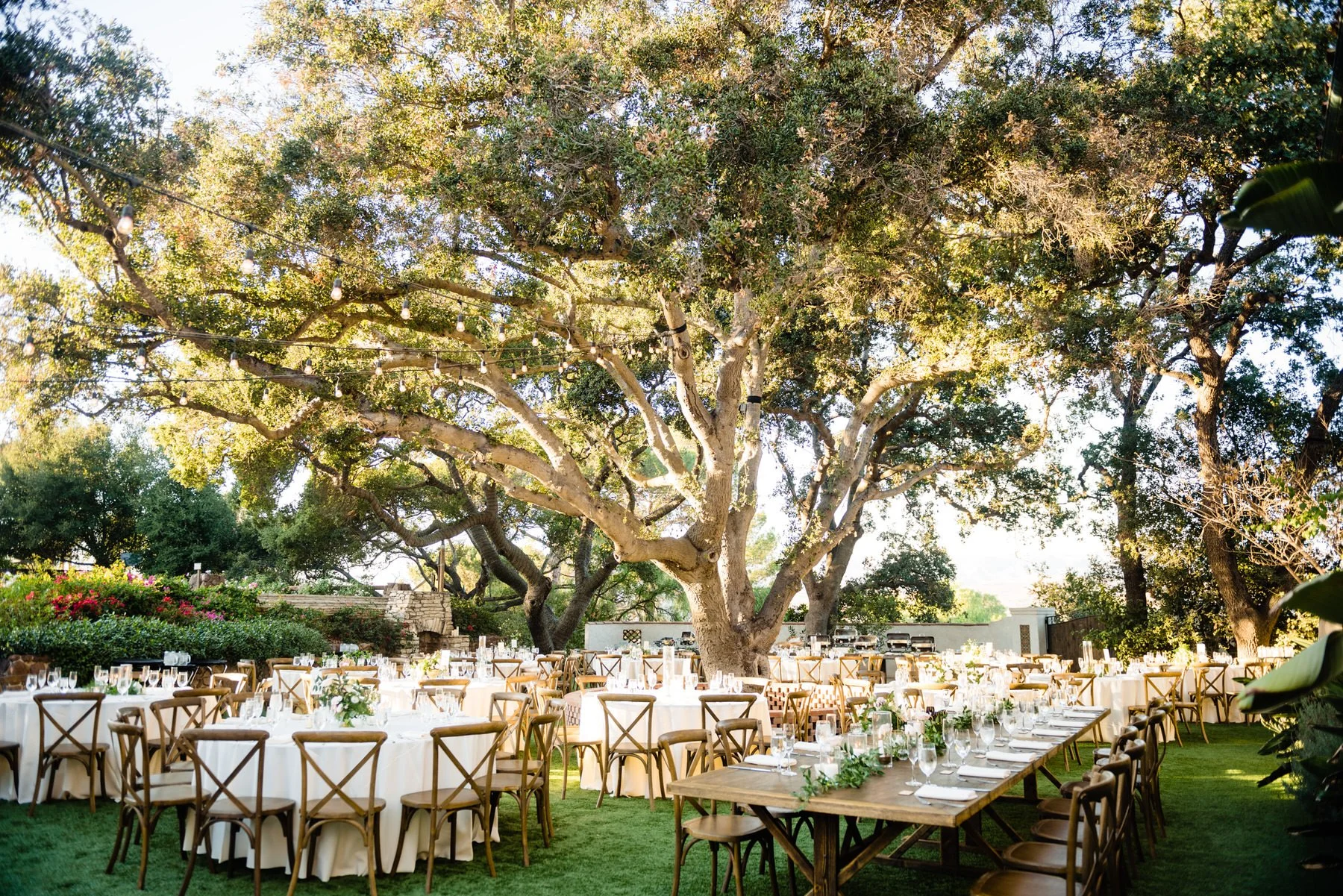 wooden tables and wooden chairs underneath a big tree
