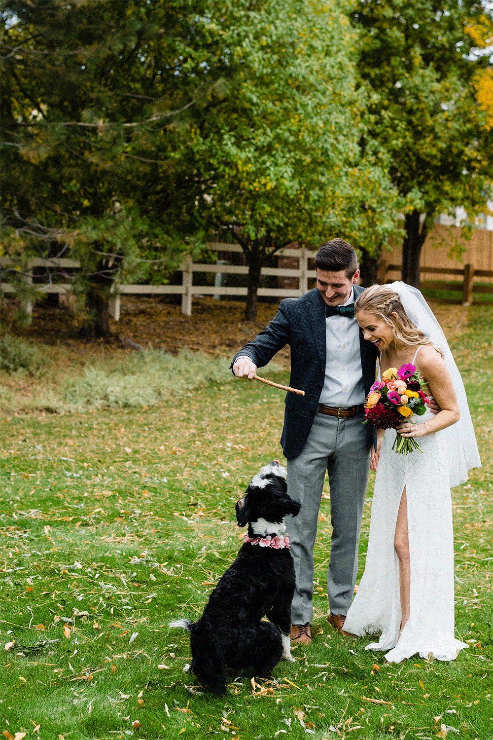 a wedding couple in Colorado plays with their dog