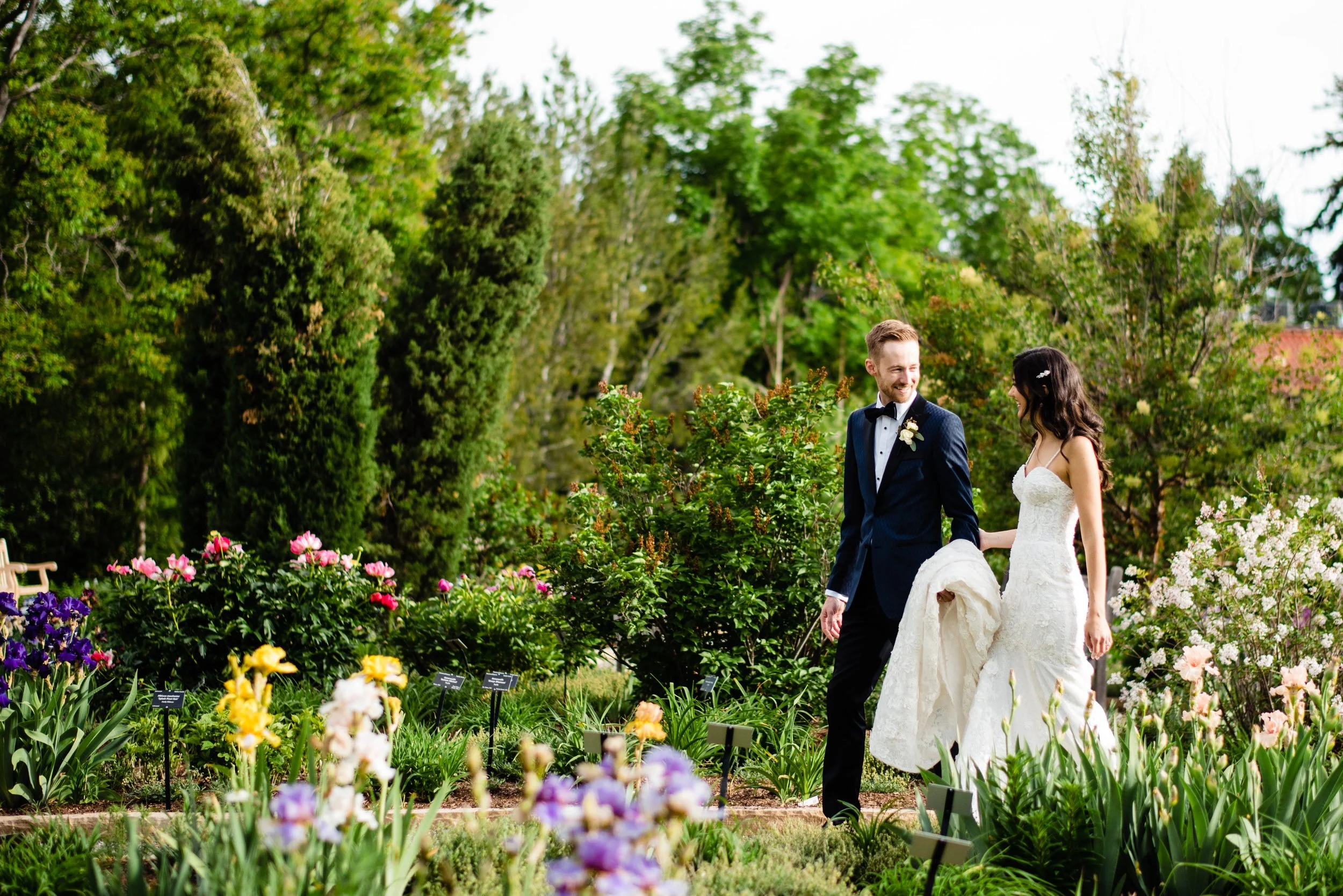 Bride and groom walking through the Lilac Garden at Denver Botanic Gardens