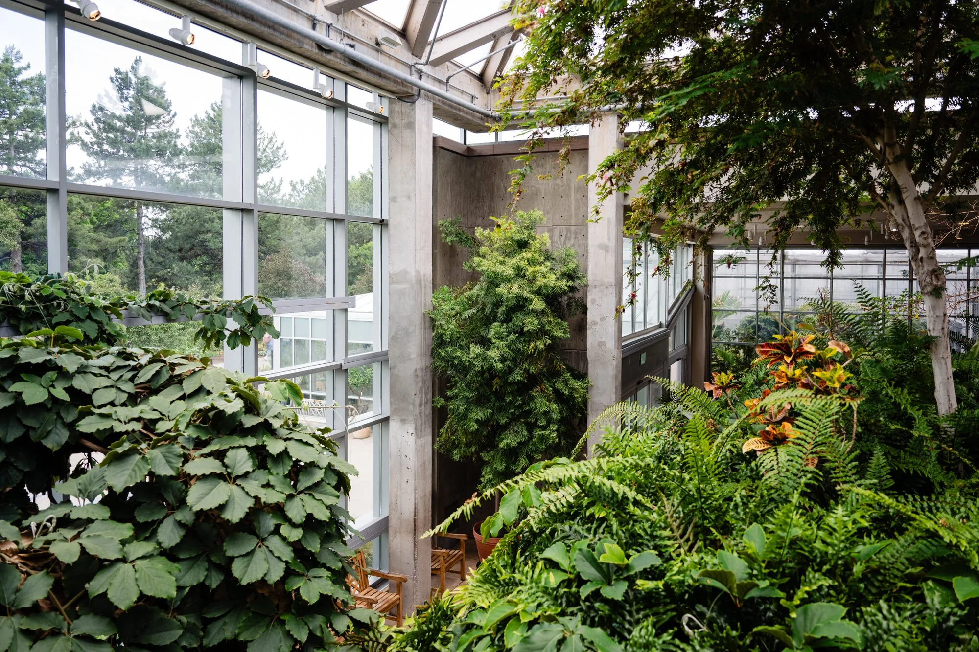 Tropical conservatory inside Marnie's Pavilion at Denver Botanic Gardens