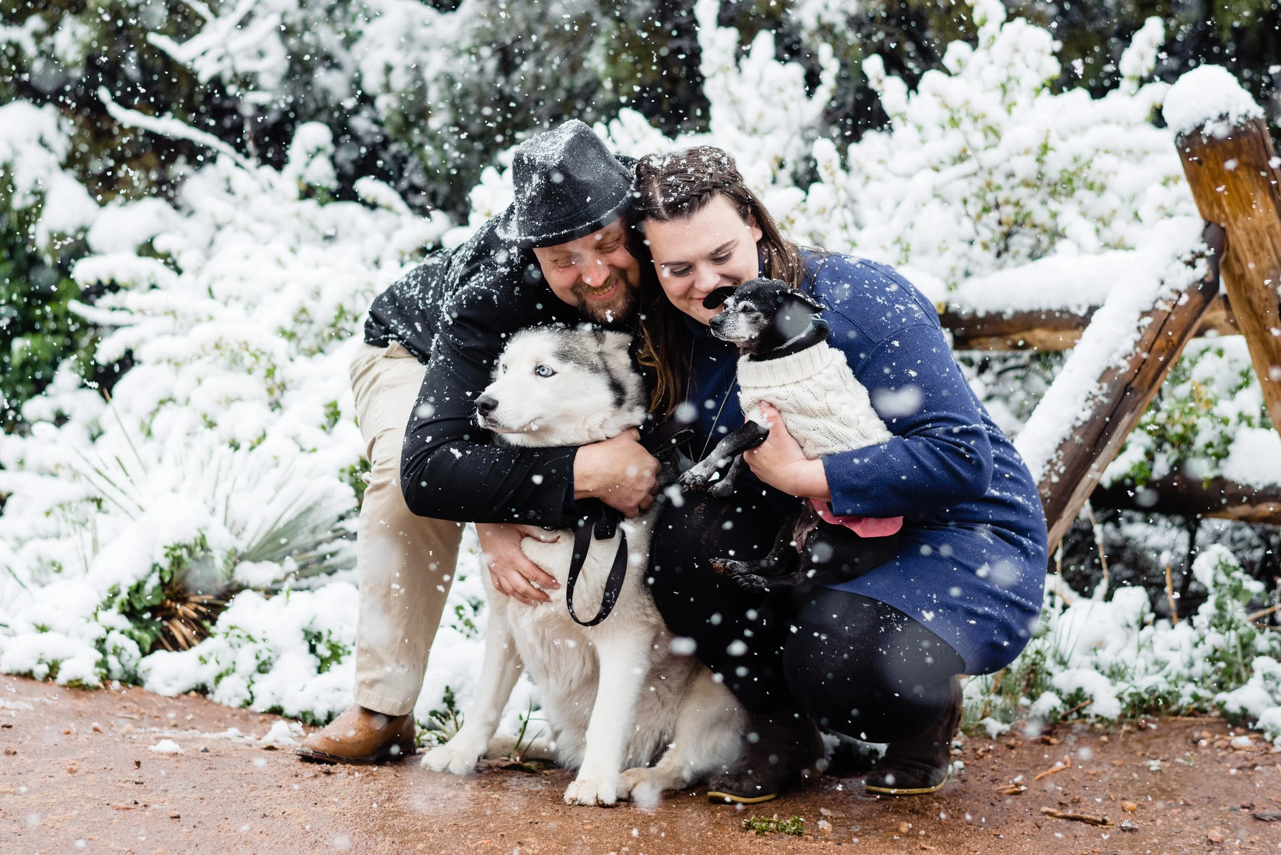 Dog-friendly engagement session locations in Colorado