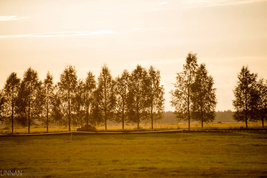 DSC_5748.jpg