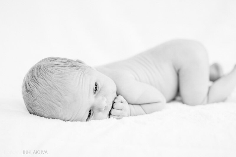 newborn-2.jpg