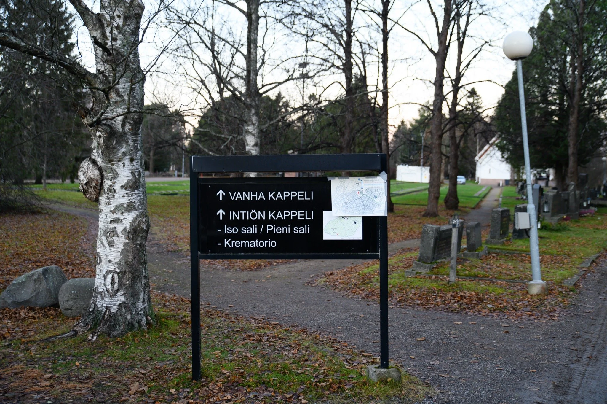 Z62_0793.jpg