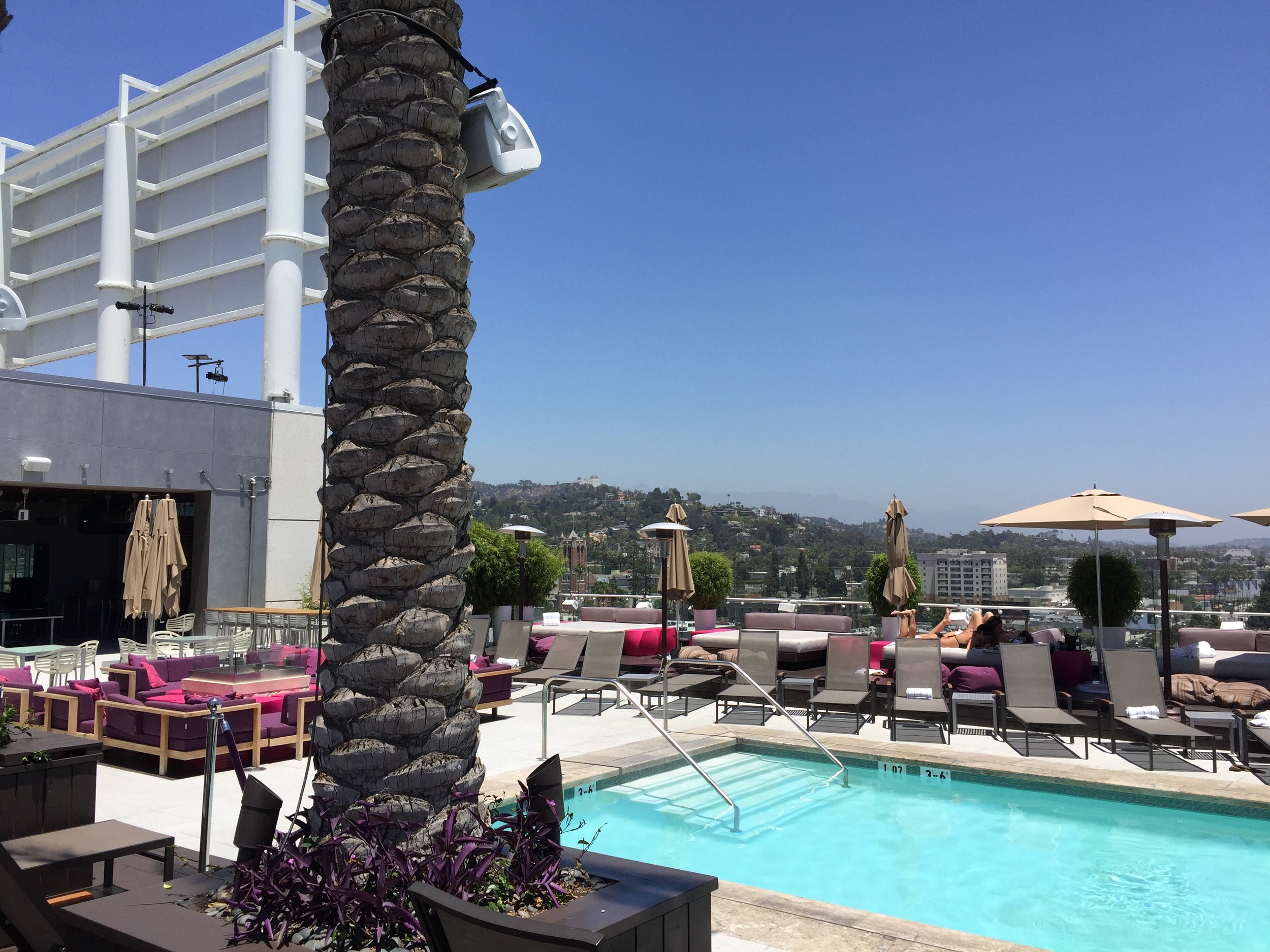 W Hollywood looking good!