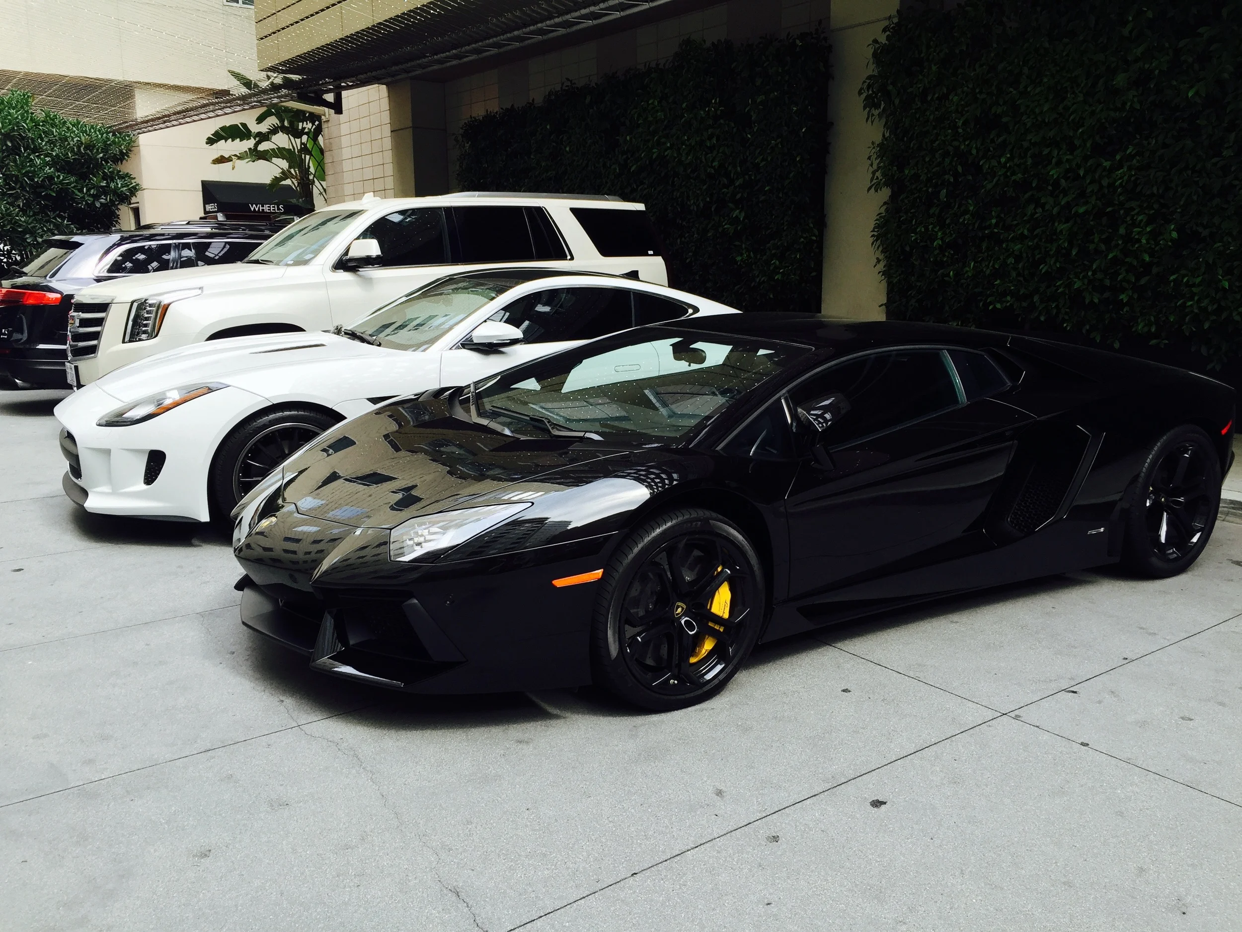 Lamborghini