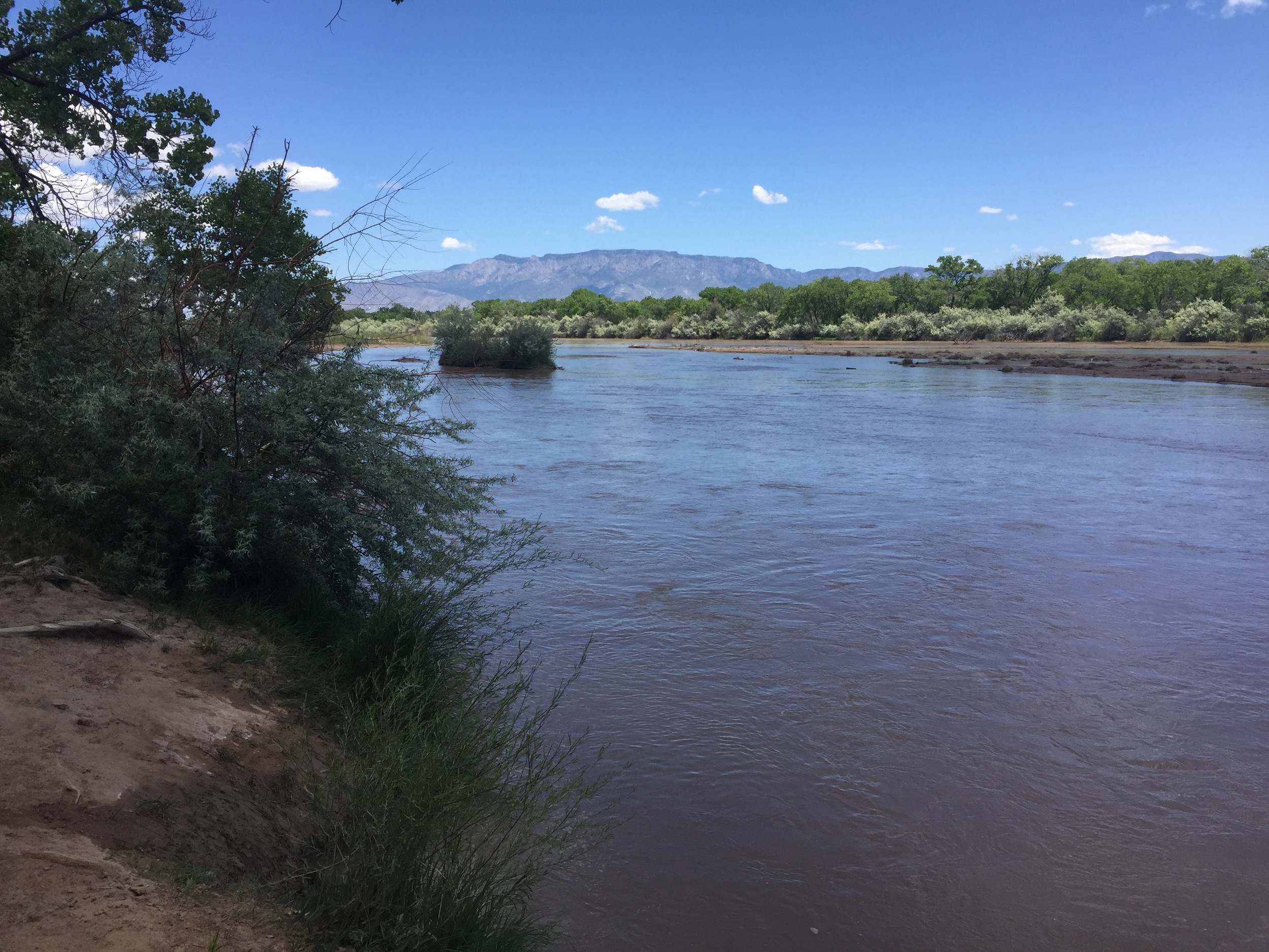  Rio Grande, Albuquerque 
