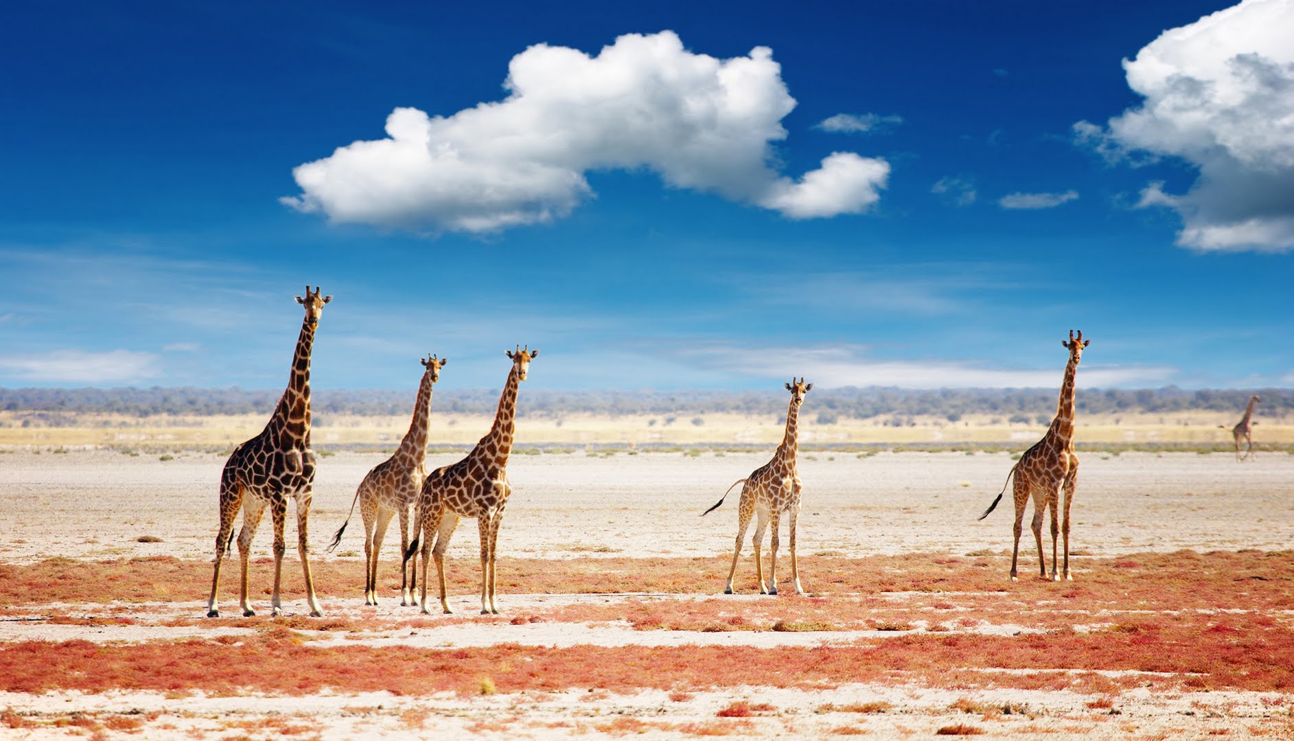 Best Travel Advisors | www.DesertToSeaTravel.com