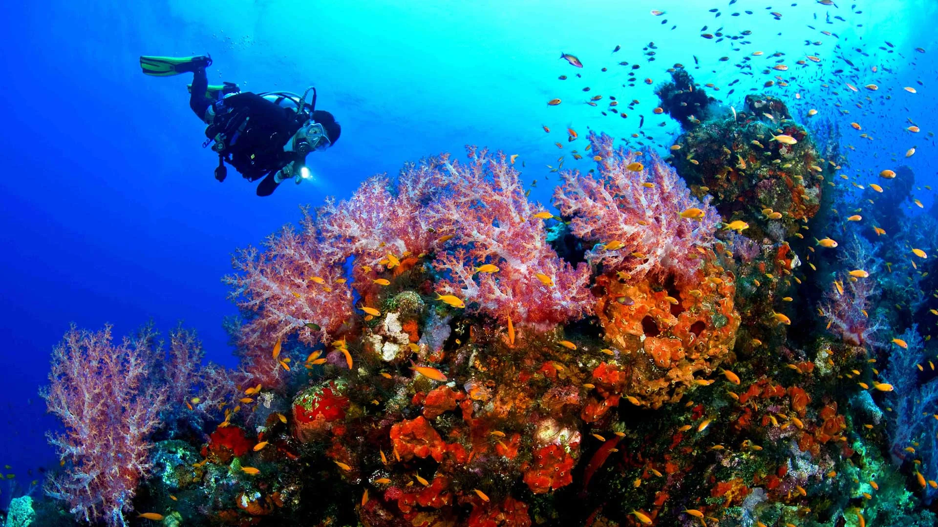 Best Travel Advisors | www.DesertToSeaTravel.com