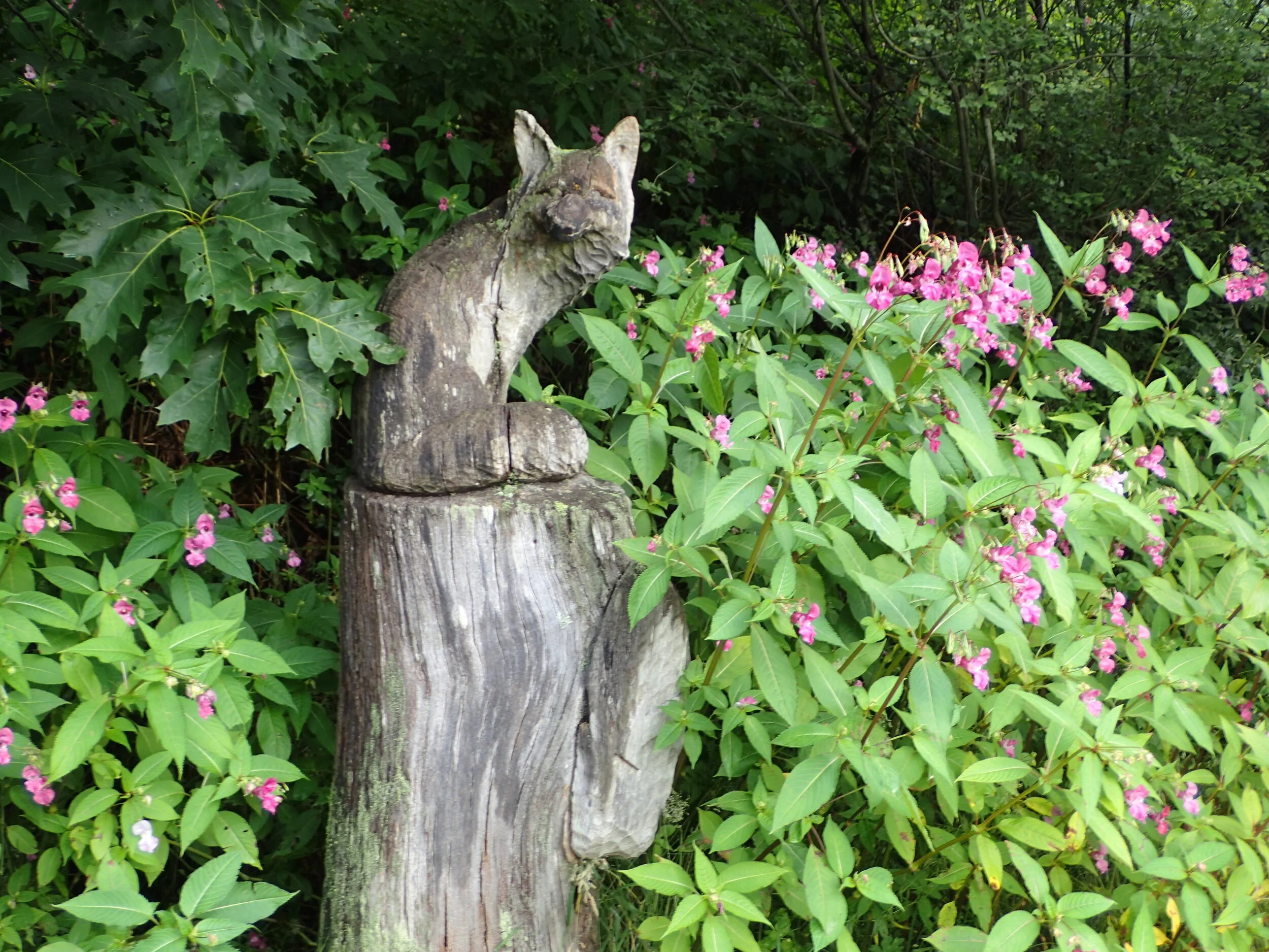Beinn Narnain, Beinn Ime, Ben Vane, Ben Vorlich - Arrochar Alps - August 1, 2020