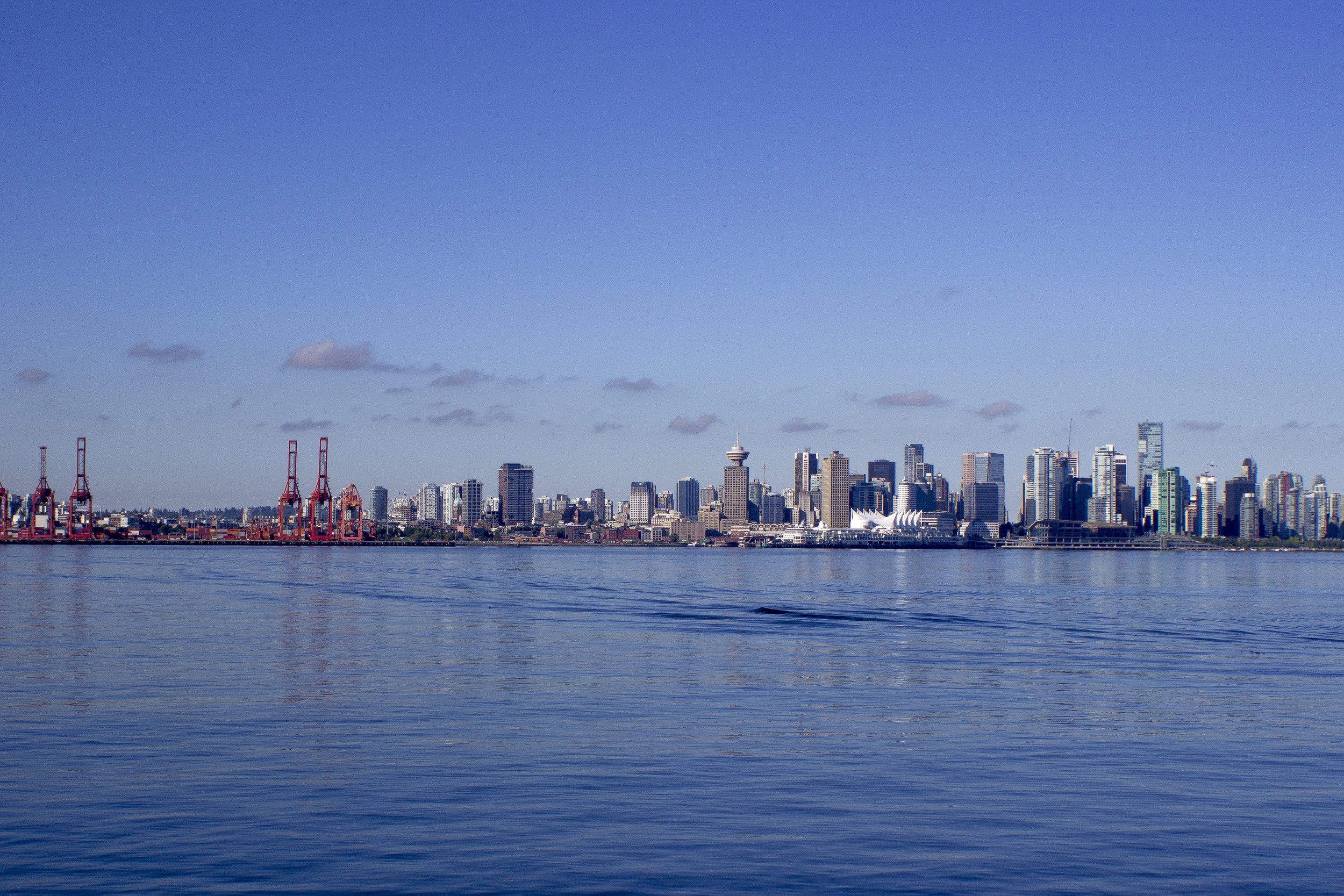 Vancouver Waterline(1).jpg