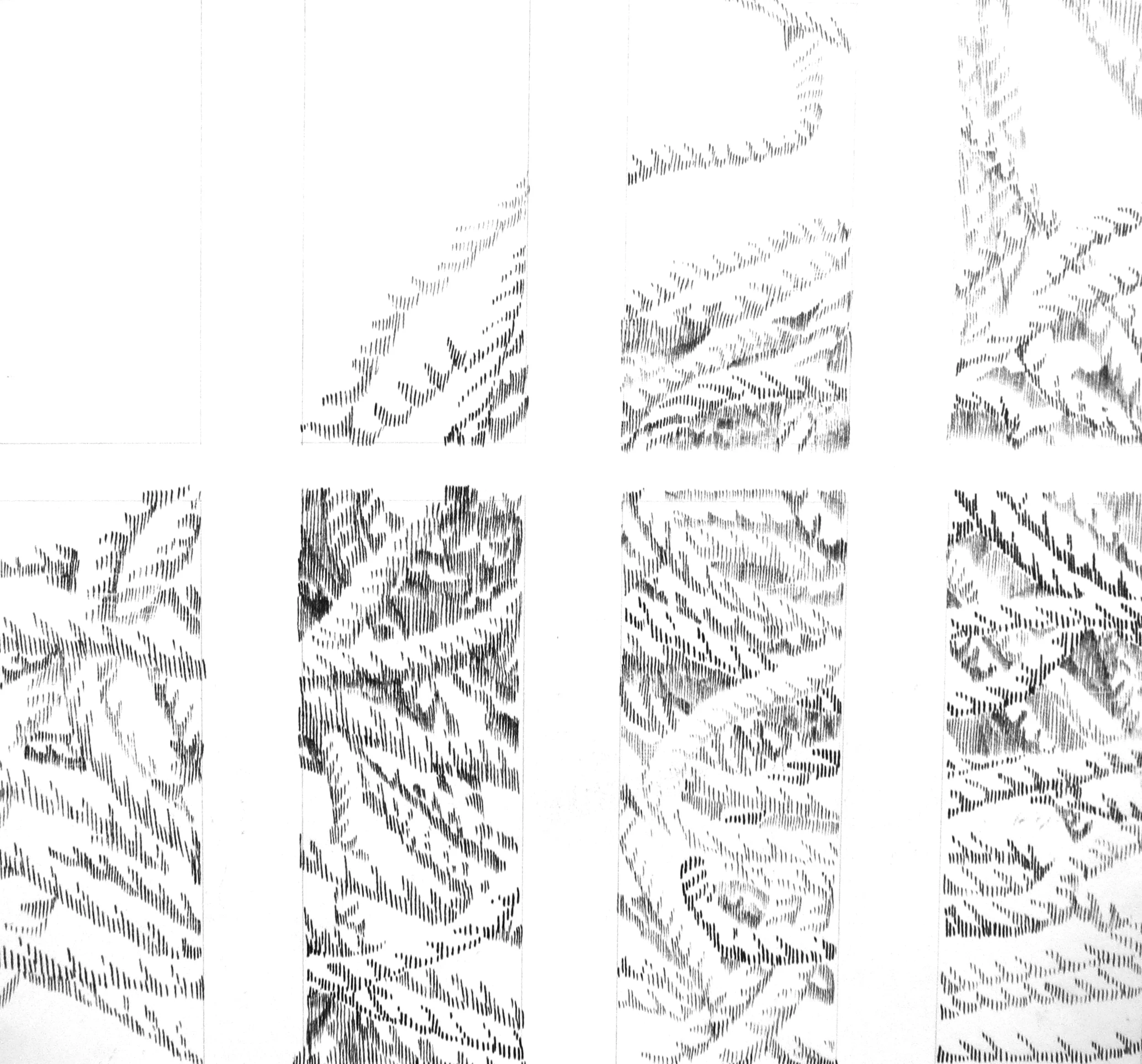 test.jpg