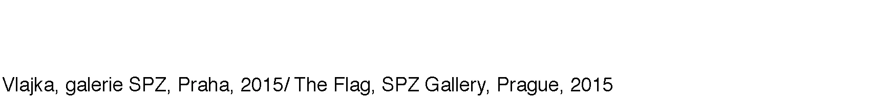 popisek spz.jpg