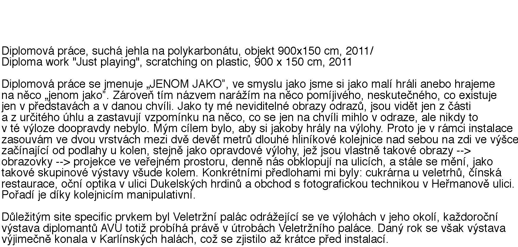 popisek diplomka.jpg
