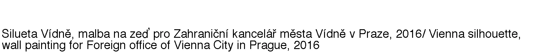 viden popisek.jpg
