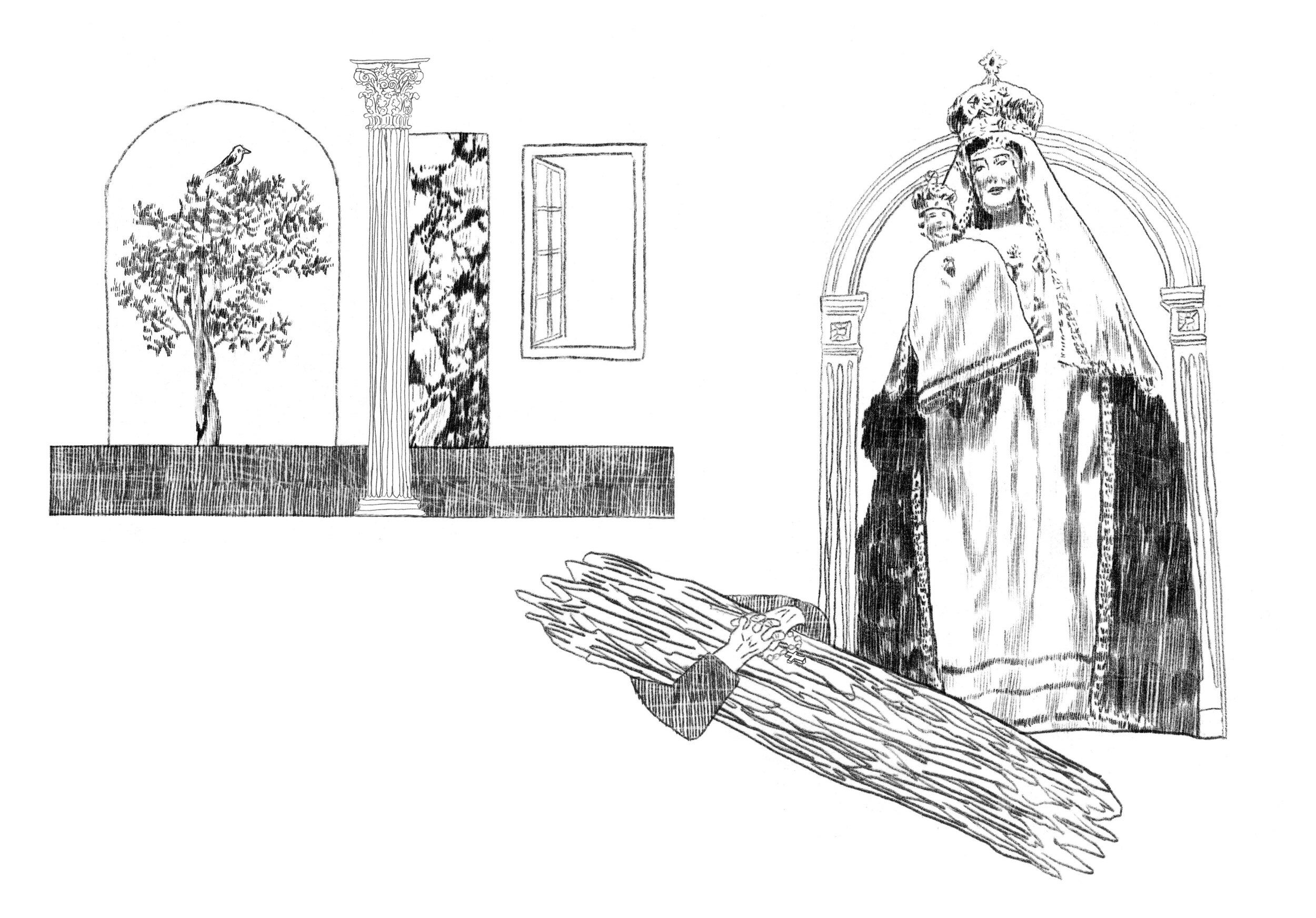 plav web.jpg