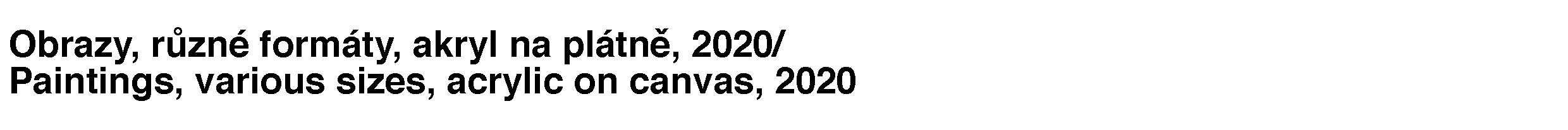 ppisek 2020.jpg