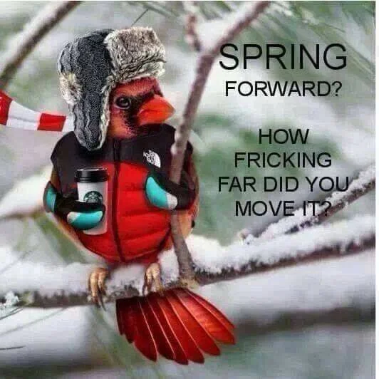 Where's Spring? Ride