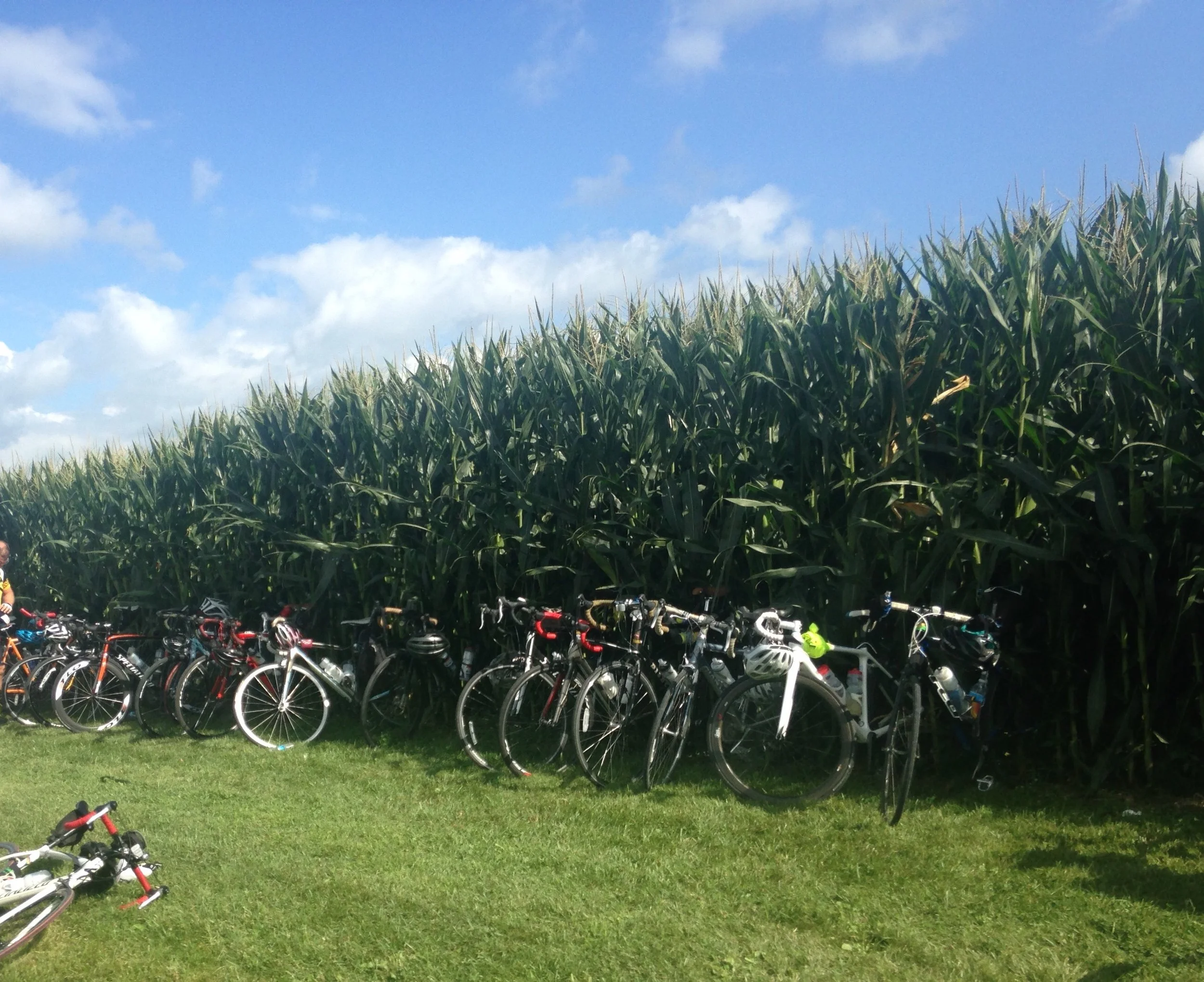 bikes in corn field.JPEG