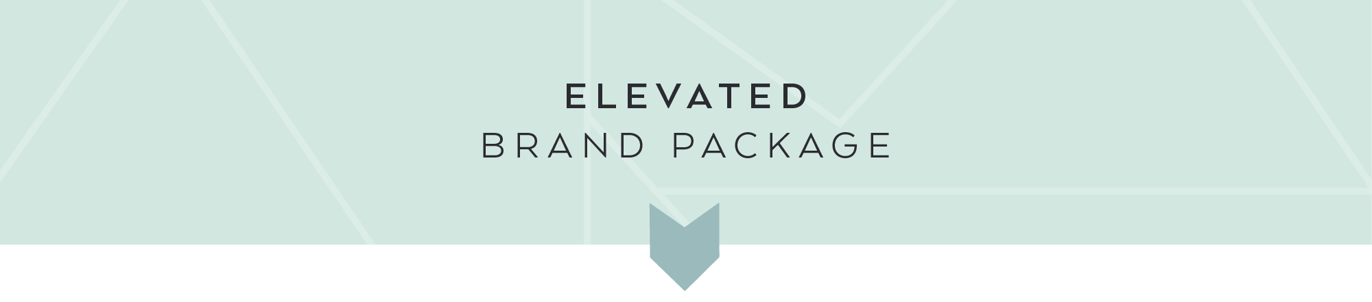 Branding Logo Design Dapper Fox Design Branding Website Design