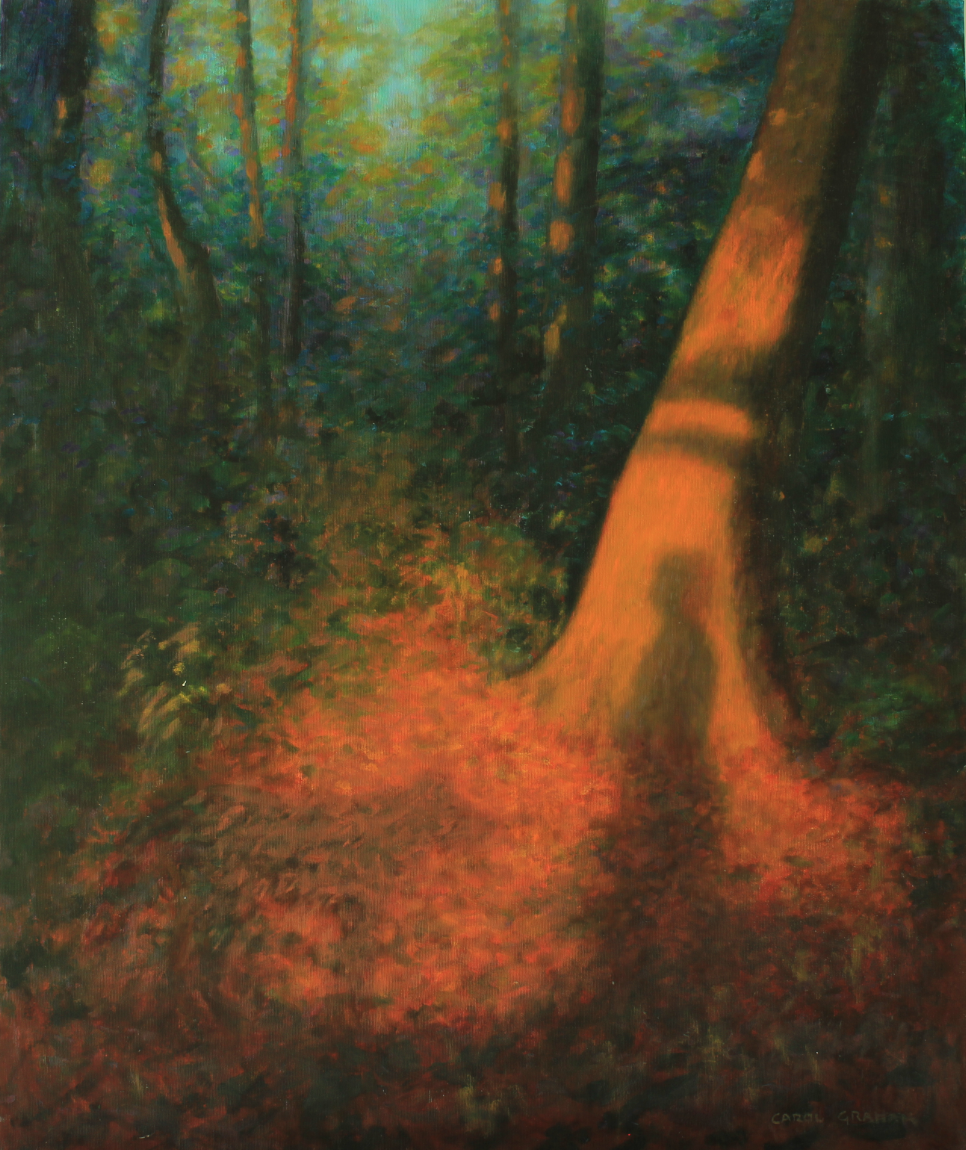 WOODLAND SHADOWS &#9733;