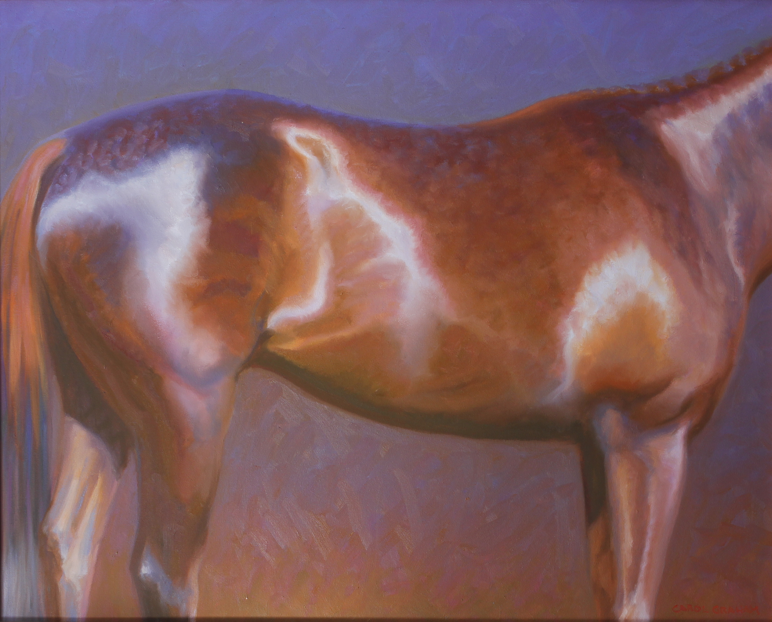 LUSTROUS HORSE &#9733;