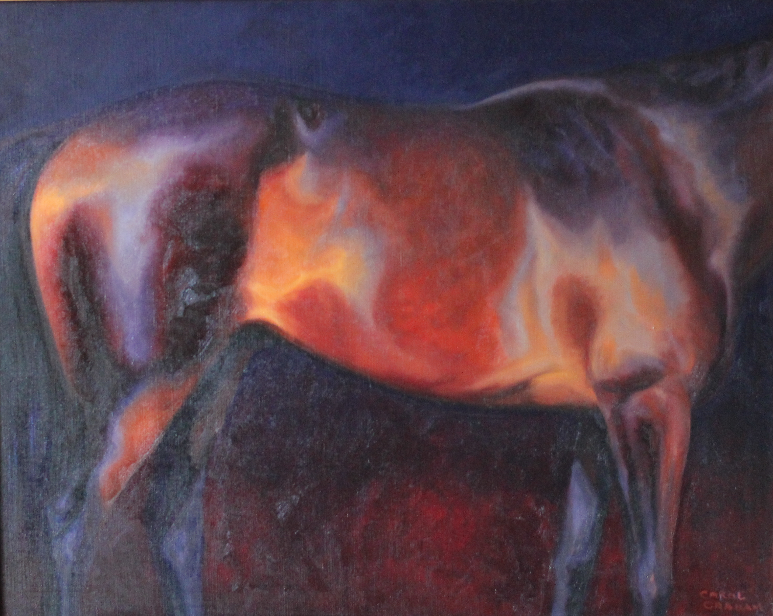 CHIAROSCURO HORSE &#9733;