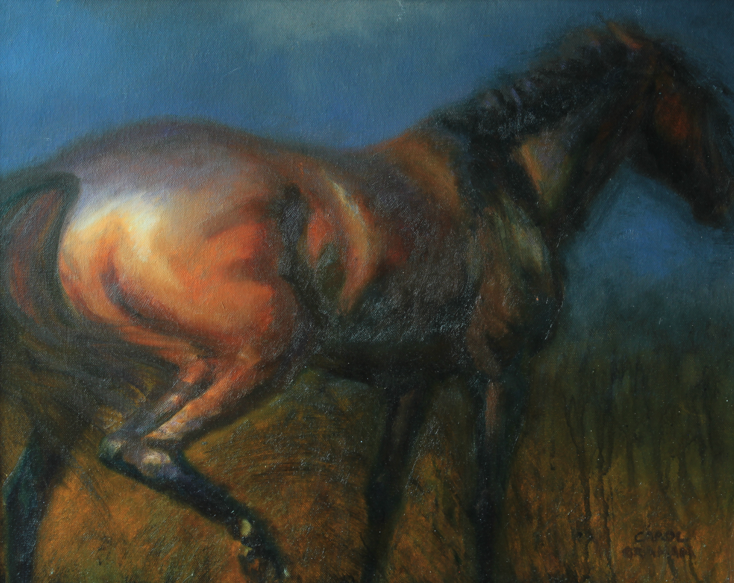 KICKING HORSE &#9733;