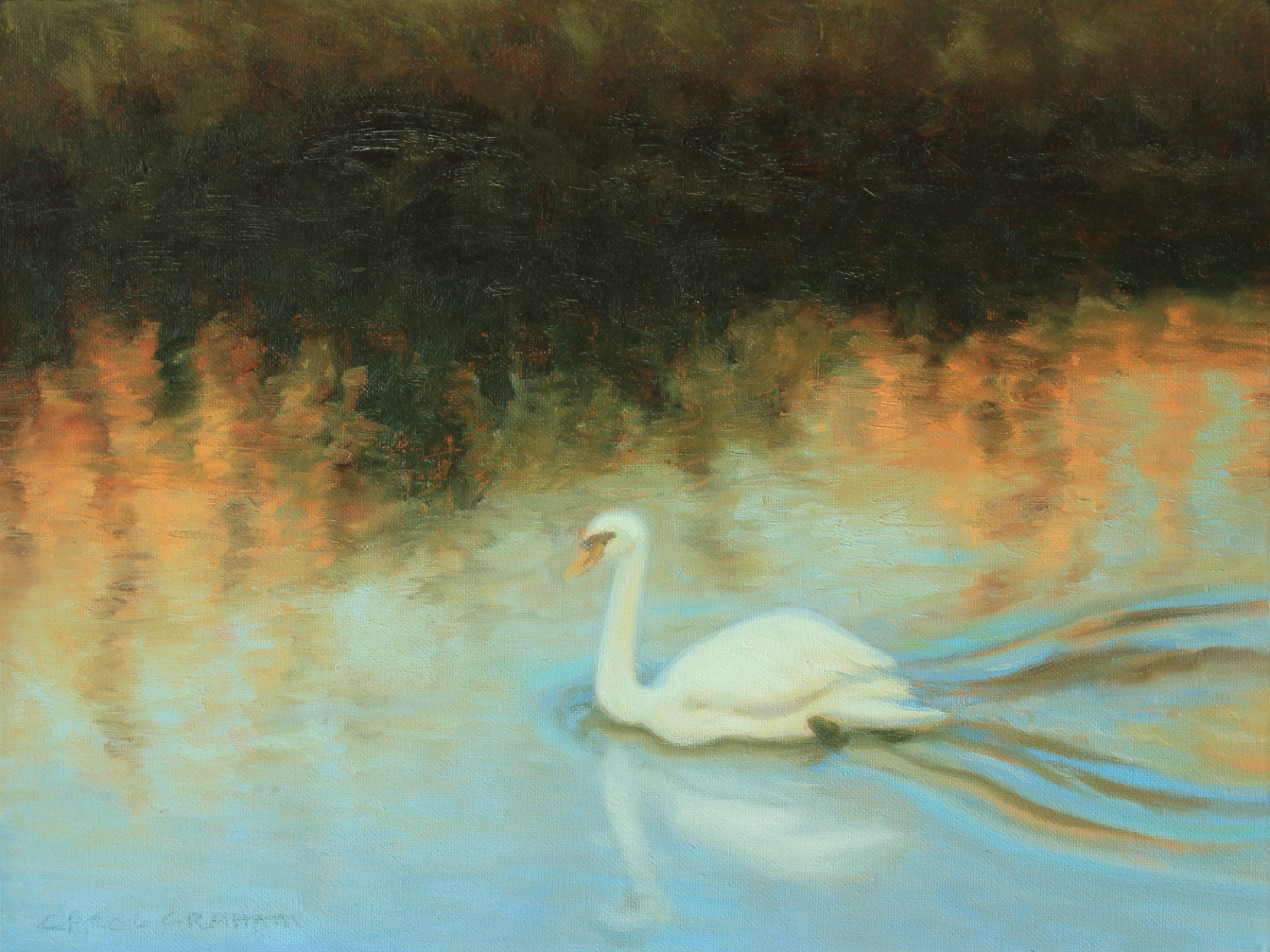 River Evening Swan &#9733;