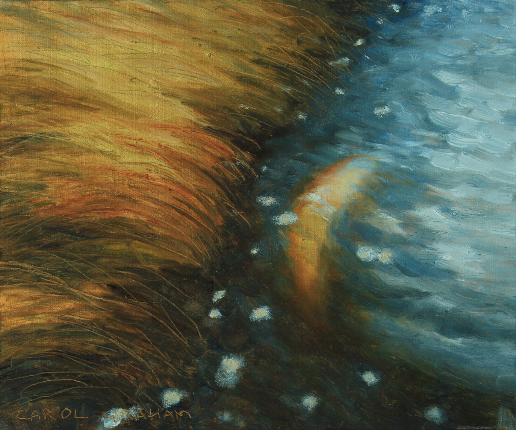 Peat Water Lough Fish &#9733;