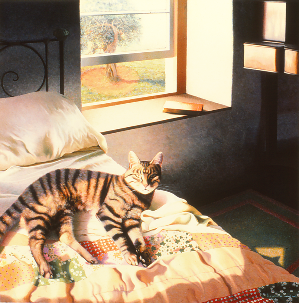 Cat with Open Window