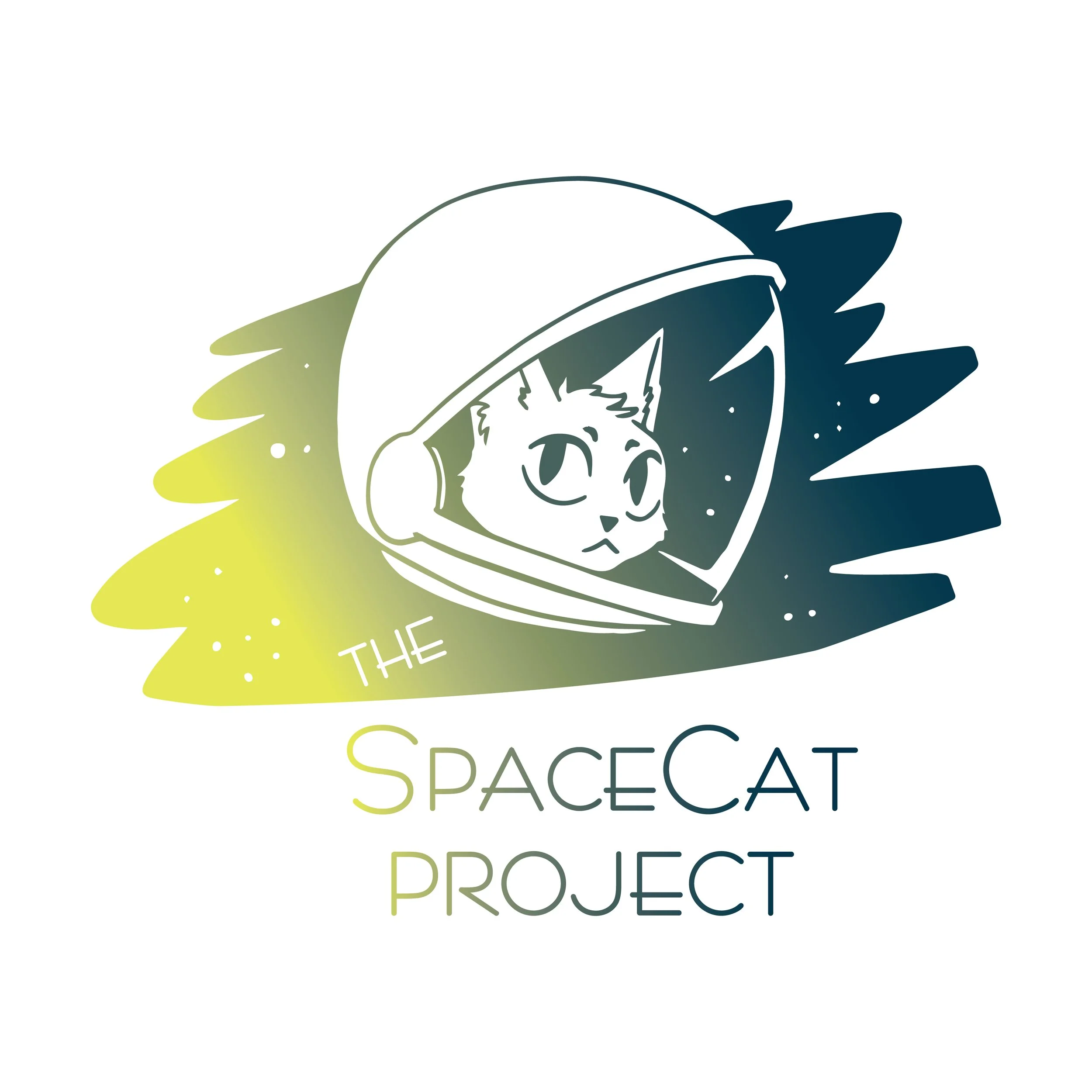 05-2020_SpaceCatProjAltSm_ForPrint.jpg