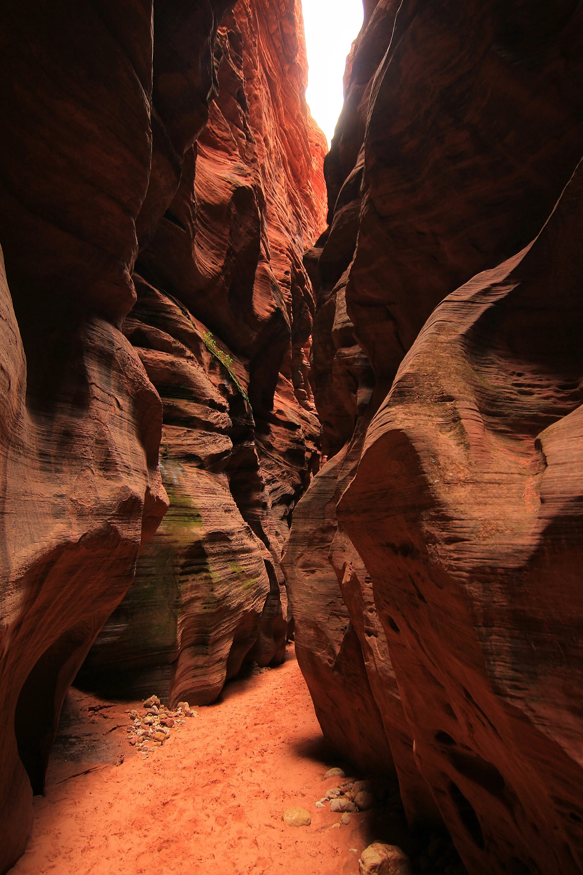 Brave enough to enter the gulch?