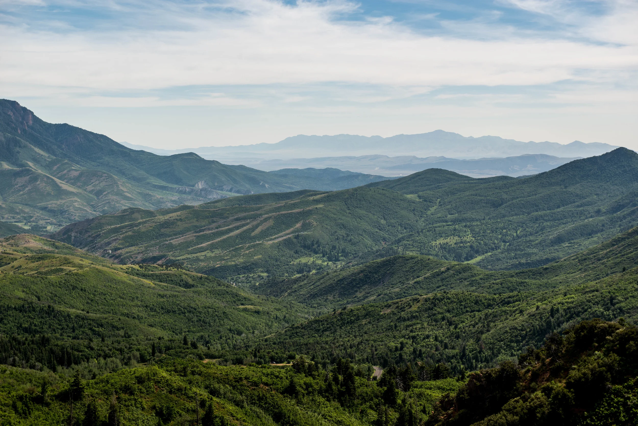 DSC_5045.jpg