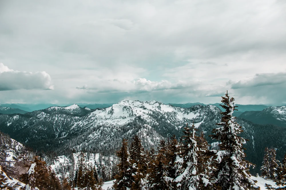 Bellingham: The City of Subdued Excitement