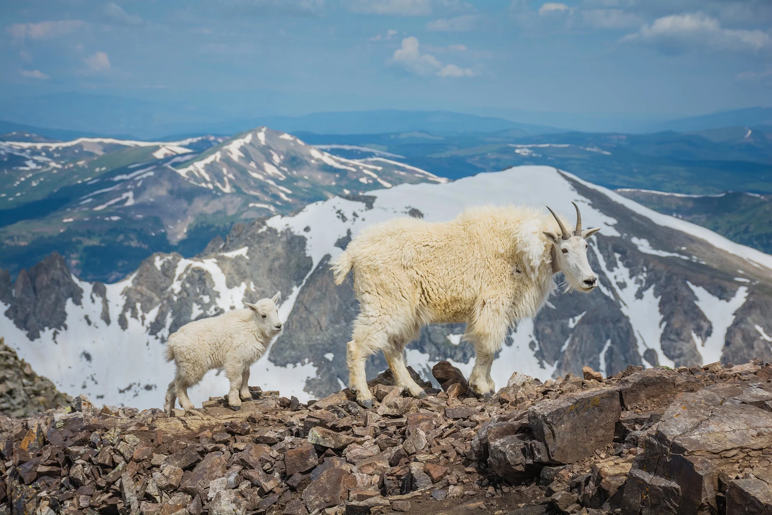 Do It Before You Die: Climb a Colorado 14er