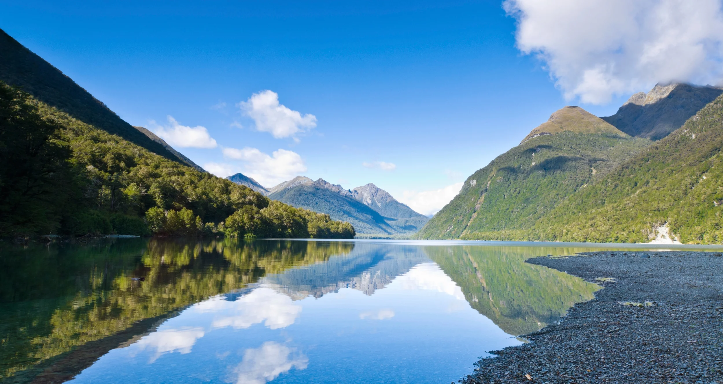 Watch: New Zealand's Natural Treasures