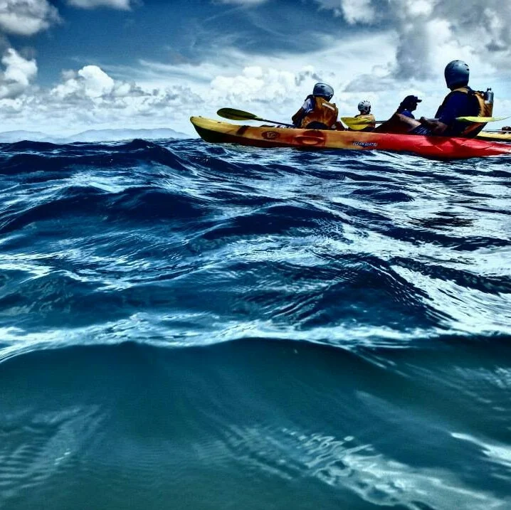 Paddling With Whales: An Unforgettable Experience
