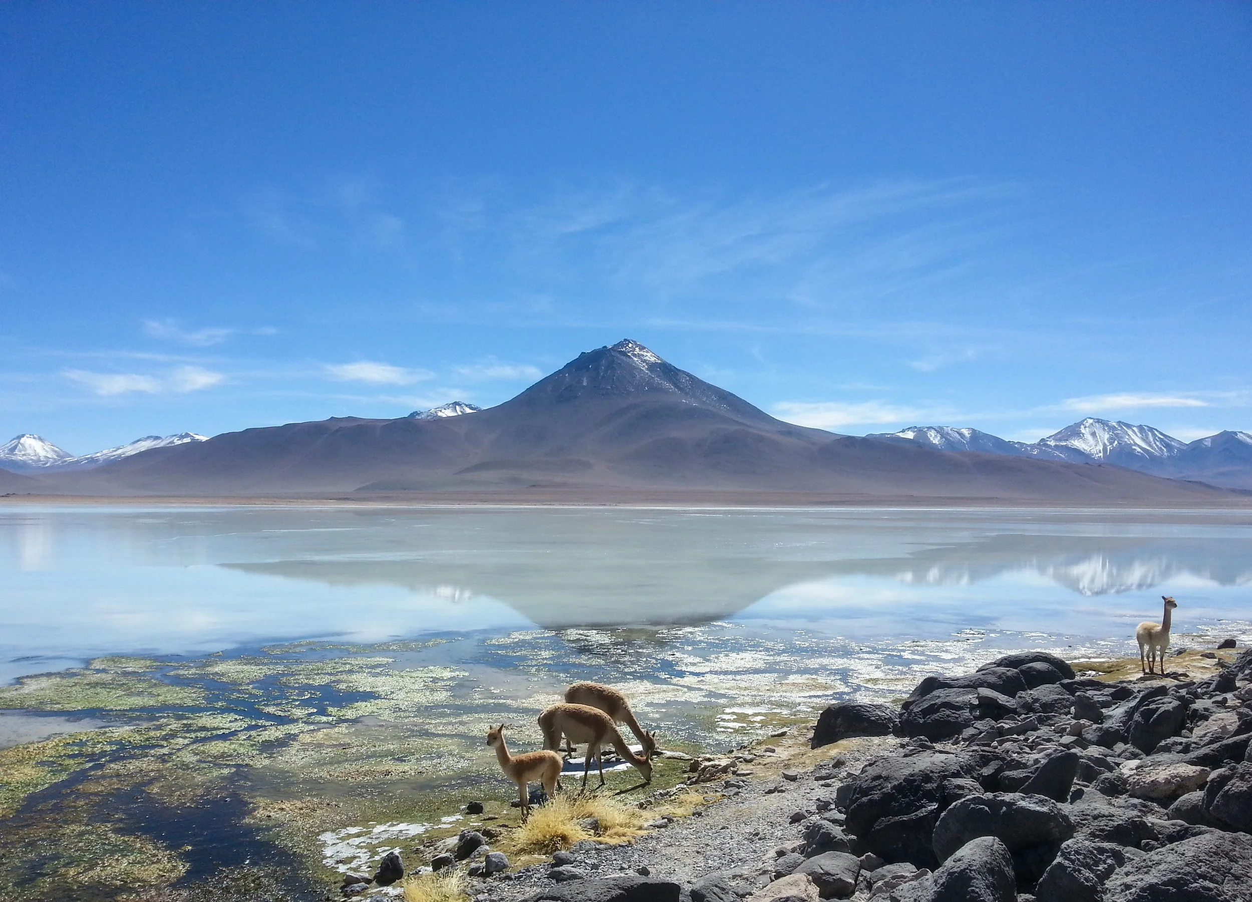 Crossing Borders to Bolivia's Salt Flats: Part One