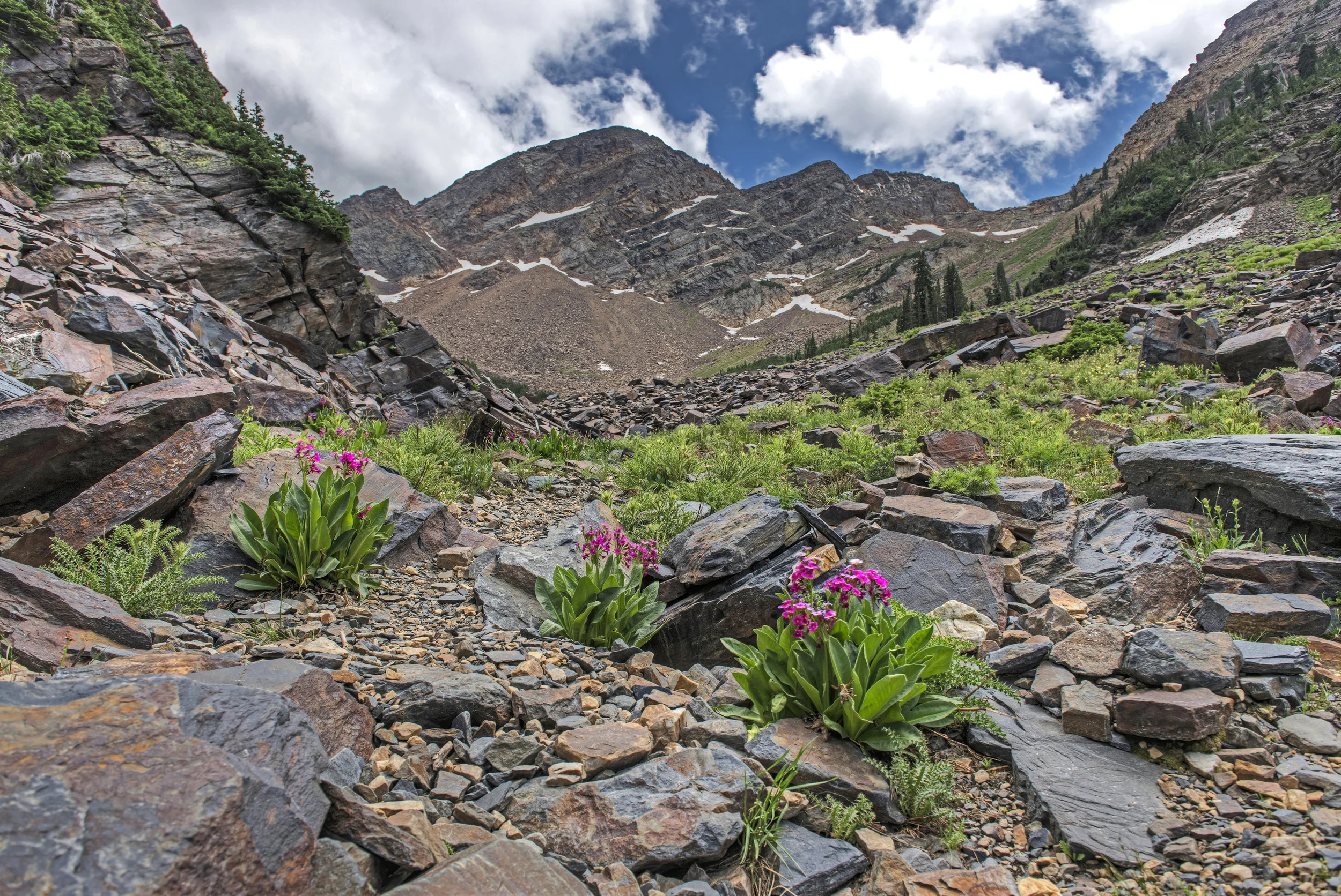 Hiking in Utah: The Broad's Fork Beatdown