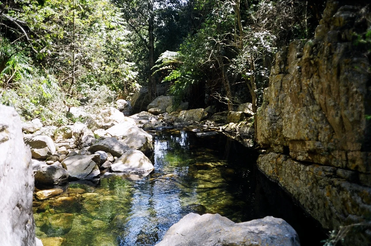 Do It Before You Die: A Night in the Magaliesberg, South Africa